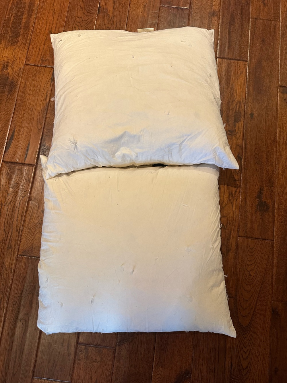 Pottery Barn Down Alternative Pillow Inserts set of 2